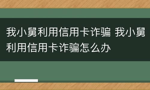 我小舅利用信用卡诈骗 我小舅利用信用卡诈骗怎么办