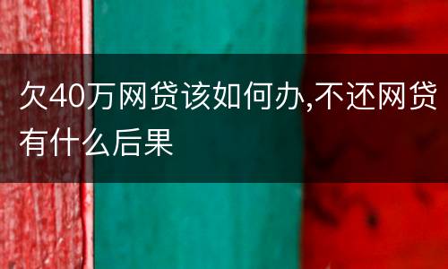 欠40万网贷该如何办,不还网贷有什么后果