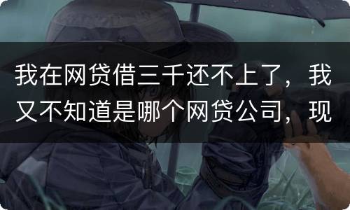 我在网贷借三千还不上了，我又不知道是哪个网贷公司，现在他们起诉我了，我会坐牢吗