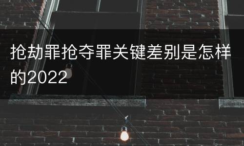 抢劫罪抢夺罪关键差别是怎样的2022