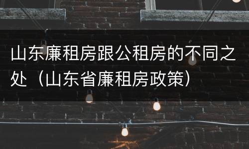 山东廉租房跟公租房的不同之处（山东省廉租房政策）