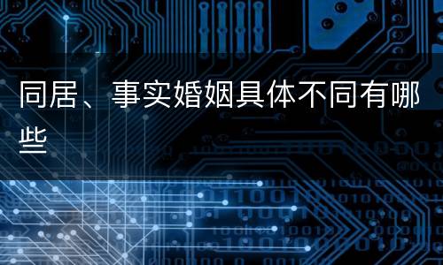 同居、事实婚姻具体不同有哪些