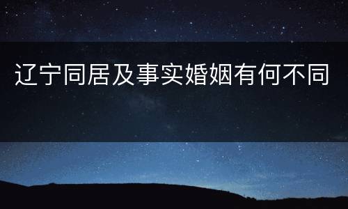 辽宁同居及事实婚姻有何不同