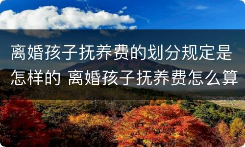离婚孩子抚养费的划分规定是怎样的 离婚孩子抚养费怎么算?