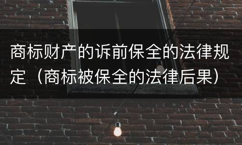 商标财产的诉前保全的法律规定（商标被保全的法律后果）