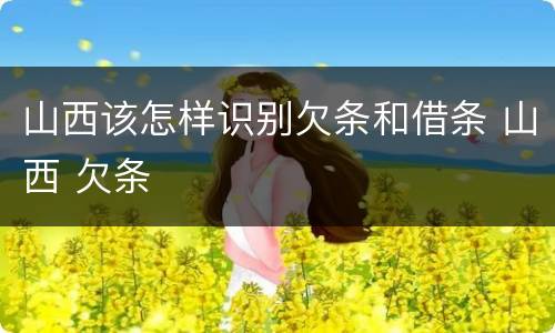 山西该怎样识别欠条和借条 山西 欠条