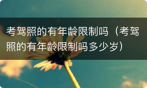 考驾照的有年龄限制吗（考驾照的有年龄限制吗多少岁）
