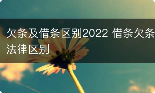 欠条及借条区别2022 借条欠条法律区别