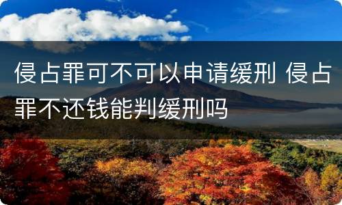 侵占罪可不可以申请缓刑 侵占罪不还钱能判缓刑吗