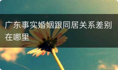 广东事实婚姻跟同居关系差别在哪里