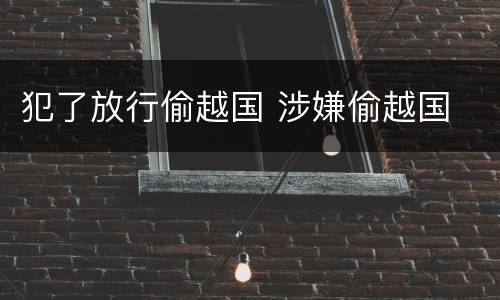 犯了放行偷越国 涉嫌偷越国