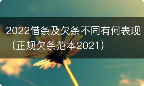 2022借条及欠条不同有何表现（正规欠条范本2021）