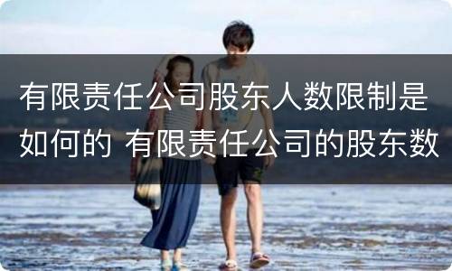 有限责任公司股东人数限制是如何的 有限责任公司的股东数量限制