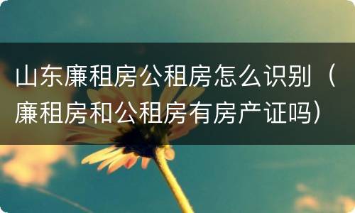 山东廉租房公租房怎么识别（廉租房和公租房有房产证吗）