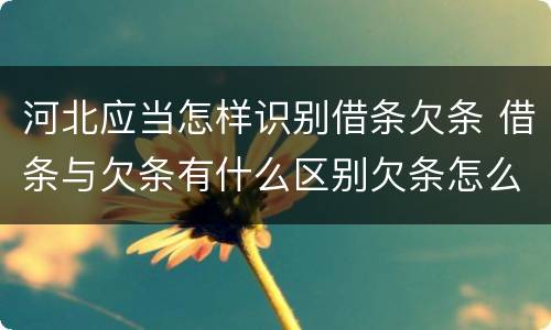 河北应当怎样识别借条欠条 借条与欠条有什么区别欠条怎么写