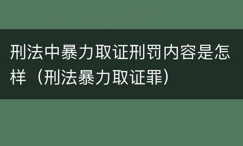 刑法中暴力取证刑罚内容是怎样（刑法暴力取证罪）