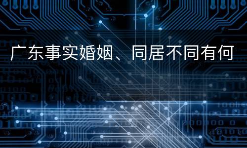 广东事实婚姻、同居不同有何