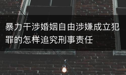 暴力干涉婚姻自由涉嫌成立犯罪的怎样追究刑事责任