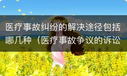 医疗事故纠纷的解决途径包括哪几种（医疗事故争议的诉讼解决的种类和内容包括哪些）