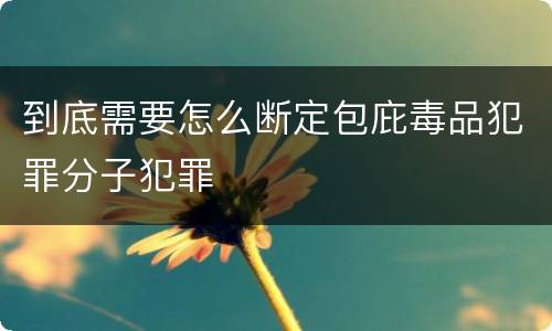 到底需要怎么断定包庇毒品犯罪分子犯罪