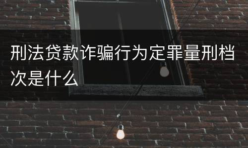 刑法贷款诈骗行为定罪量刑档次是什么