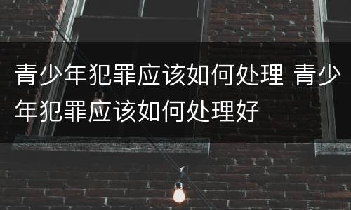青少年犯罪应该如何处理 青少年犯罪应该如何处理好