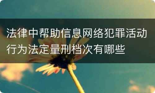 法律中帮助信息网络犯罪活动行为法定量刑档次有哪些
