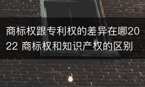 商标权跟专利权的差异在哪2022 商标权和知识产权的区别