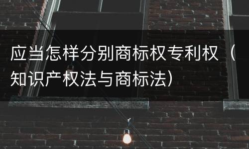 应当怎样分别商标权专利权（知识产权法与商标法）