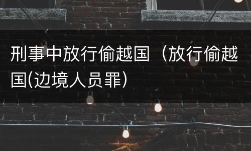 刑事中放行偷越国（放行偷越国(边境人员罪）