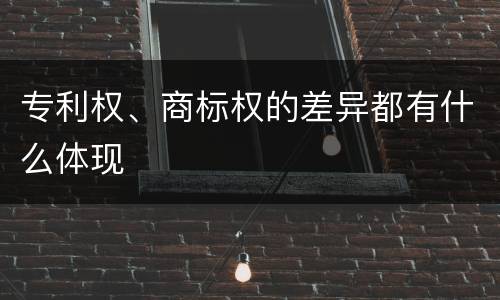 专利权、商标权的差异都有什么体现