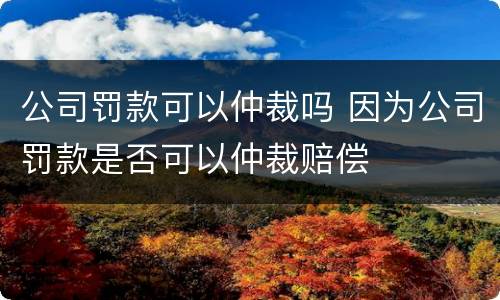 公司罚款可以仲裁吗 因为公司罚款是否可以仲裁赔偿