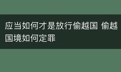 应当如何才是放行偷越国 偷越国境如何定罪