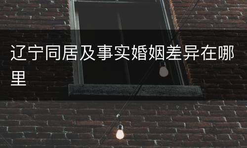 辽宁同居及事实婚姻差异在哪里