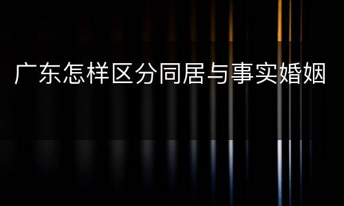 广东怎样区分同居与事实婚姻