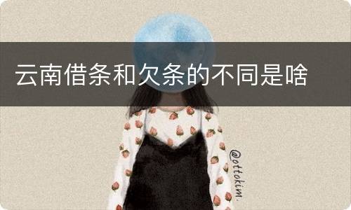 云南借条和欠条的不同是啥