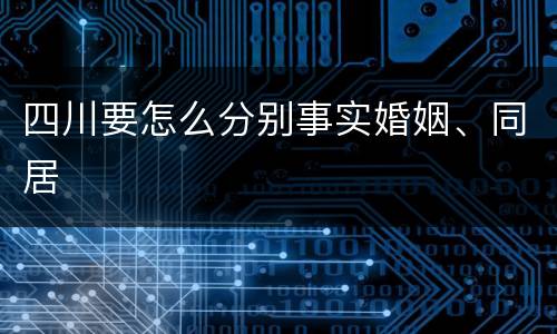 四川要怎么分别事实婚姻、同居