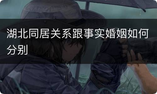 湖北同居关系跟事实婚姻如何分别