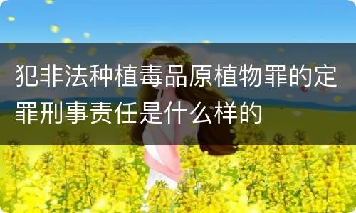 犯非法种植毒品原植物罪的定罪刑事责任是什么样的