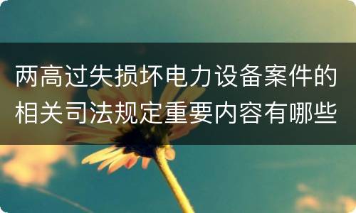 两高过失损坏电力设备案件的相关司法规定重要内容有哪些