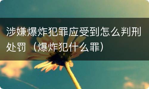 涉嫌爆炸犯罪应受到怎么判刑处罚（爆炸犯什么罪）