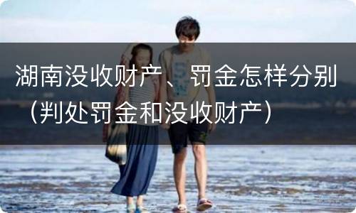 湖南没收财产、罚金怎样分别（判处罚金和没收财产）