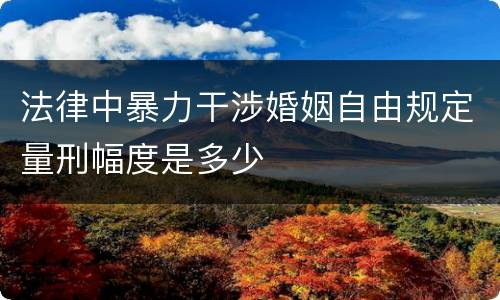 法律中暴力干涉婚姻自由规定量刑幅度是多少
