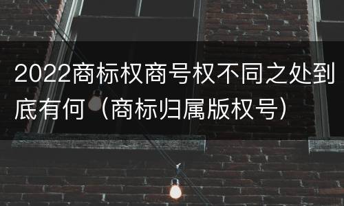 2022商标权商号权不同之处到底有何（商标归属版权号）