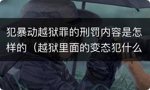 犯暴动越狱罪的刑罚内容是怎样的（越狱里面的变态犯什么罪）
