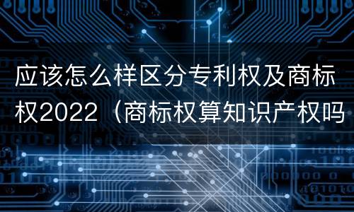 应该怎么样区分专利权及商标权2022（商标权算知识产权吗）