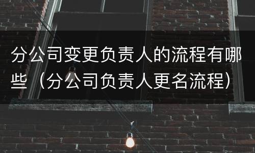 分公司变更负责人的流程有哪些（分公司负责人更名流程）