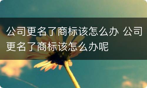 公司更名了商标该怎么办 公司更名了商标该怎么办呢