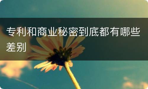 专利和商业秘密到底都有哪些差别