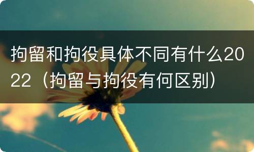 拘留和拘役具体不同有什么2022（拘留与拘役有何区别）